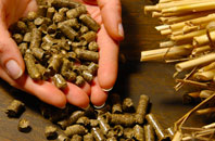 free Wellsprings biomass boiler quotes
